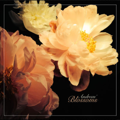 CD - Andreas Krause - Blossoms